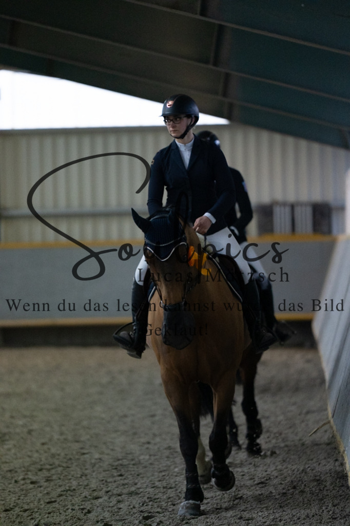 A7V08944 | Pferdefotograf