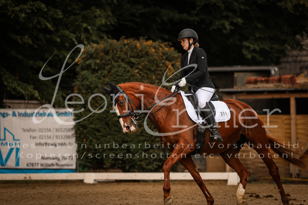 18.SoDrLK00268 | Leoni Ertmer Photography - Realisiert mit Pictrs.com