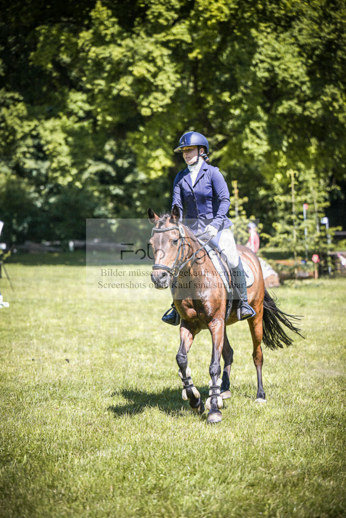 DOS_4103 | Entdecke hochwertige Reitturnierfotos von Foto Oger. Professionell, emotional und authentisch – jetzt Lieblingsmomente im Shop bestellen.Deutschlandweite Turnierfotografie. - Realisiert mit Pictrs.com