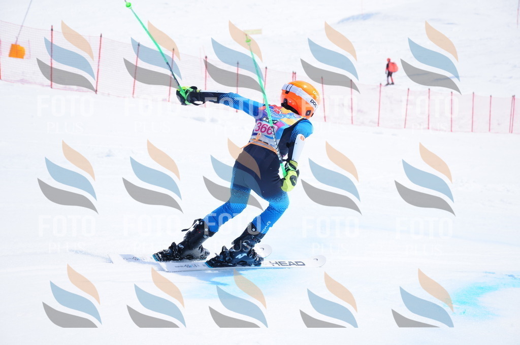 DSC_7278 | holidayphoto