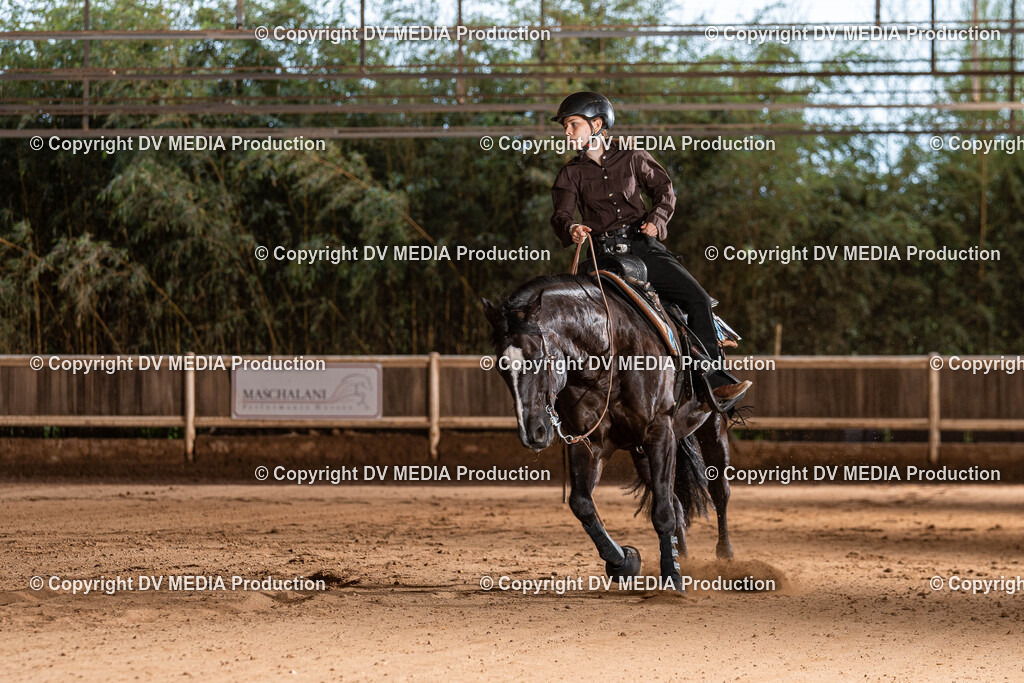 Erbach Tag 1-1198 | dv-media-shop - Realisiert mit Pictrs.com