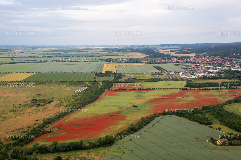 Klatschmohn auf Kornfeldern | Luftbild: Klatschmohn auf Kornfeldern im Ortsteil Gernrode in Quedlinburg im Bundesland Sachsen-Anhalt in Deutschland. Foto: IMG_136406.jpg vom 16.06.2023 durch ©2025 Werner Riehm fly-foto.de/copyright - Realisiert mit Pictrs.com