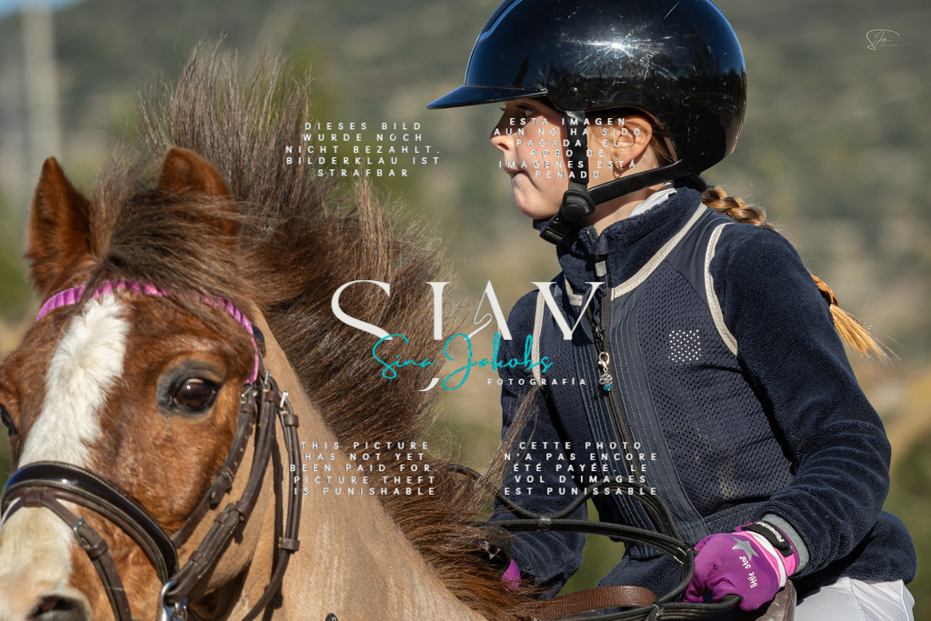 IMG_7711 | s-jay-photography - Realisiert mit Pictrs.com