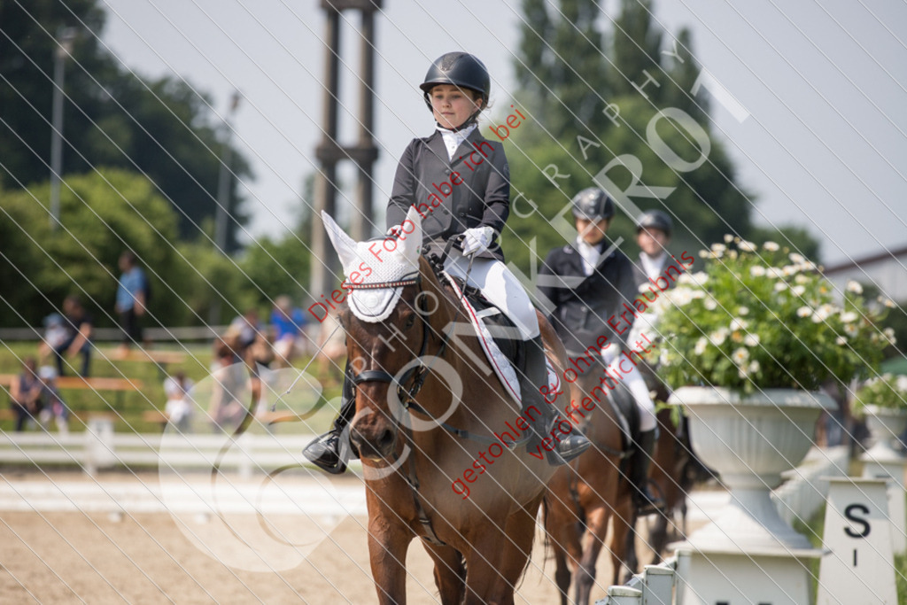 IMG_3478 | Hier findest Du viele Augenblicke aus den Bereichen der Turnier-, Sport- & Tierfotografie. Bilder mit deinem Liebling, Portrait-, Bewerbungs-, Businessbilder können ebenfalls schnell und einfach erstellt werden.