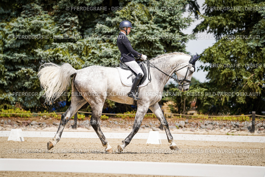 DSC02404 | Pferdegrafie