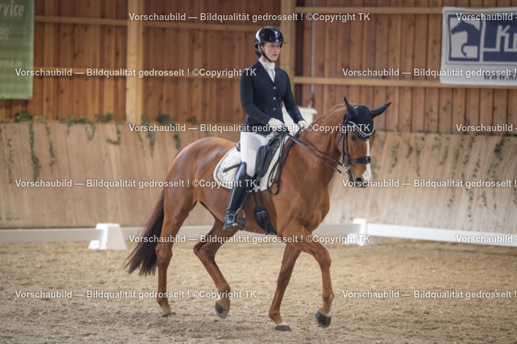 _D5A1685 | Emotionale Pferde- & People-Fotografie rund um Heidelberg, Leimen & Umgebung. Natürliche Fotos von Pferd, Mensch & Familie. Jetzt Termin sichern!