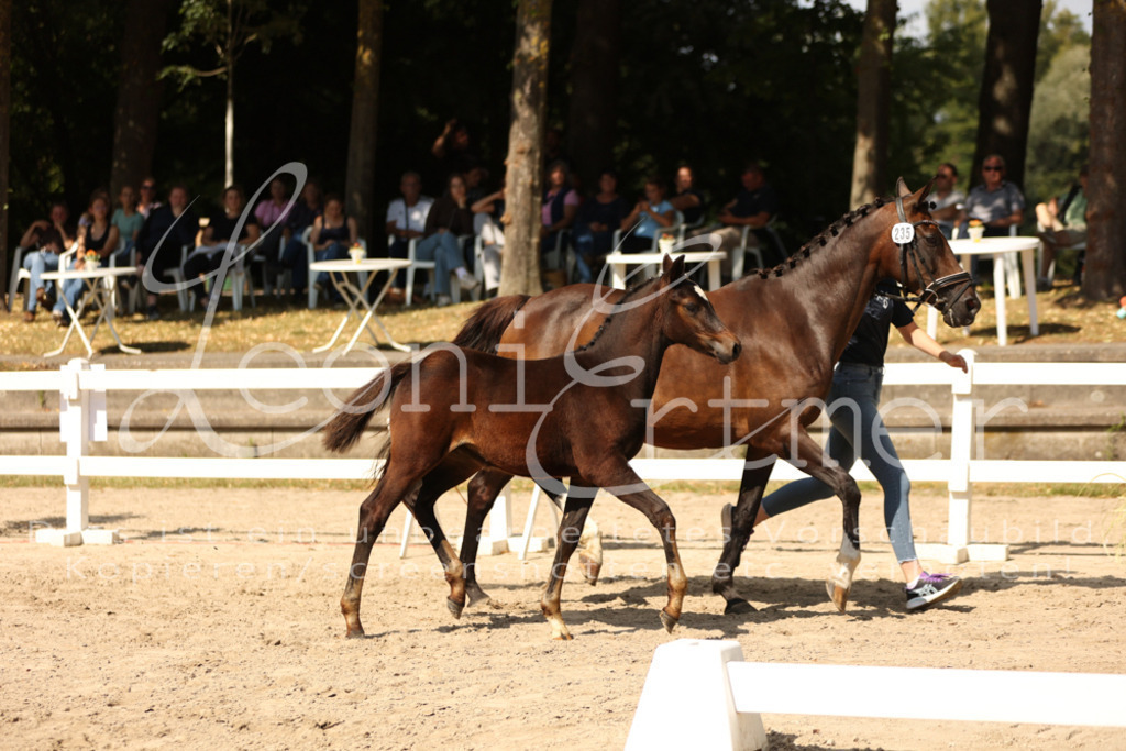 08.DoRPS00031 | Leoni Ertmer Photography - Realisiert mit Pictrs.com