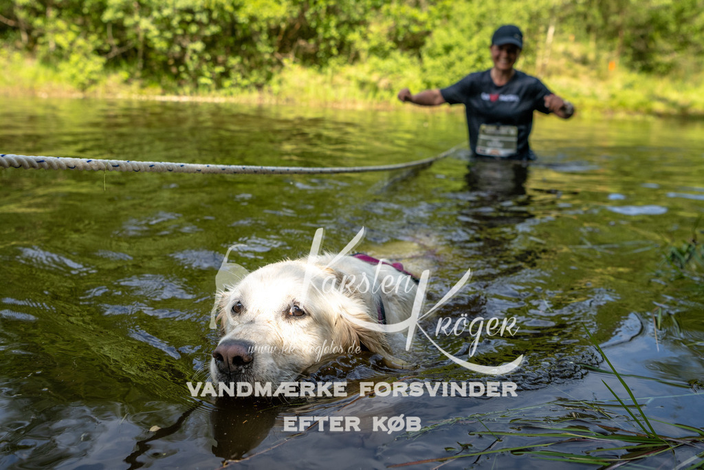 0948DKK9_ZZ93125 | kk-dogfotos