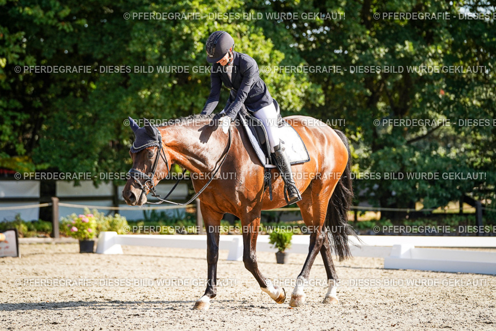 DSC08985 | Pferdegrafie