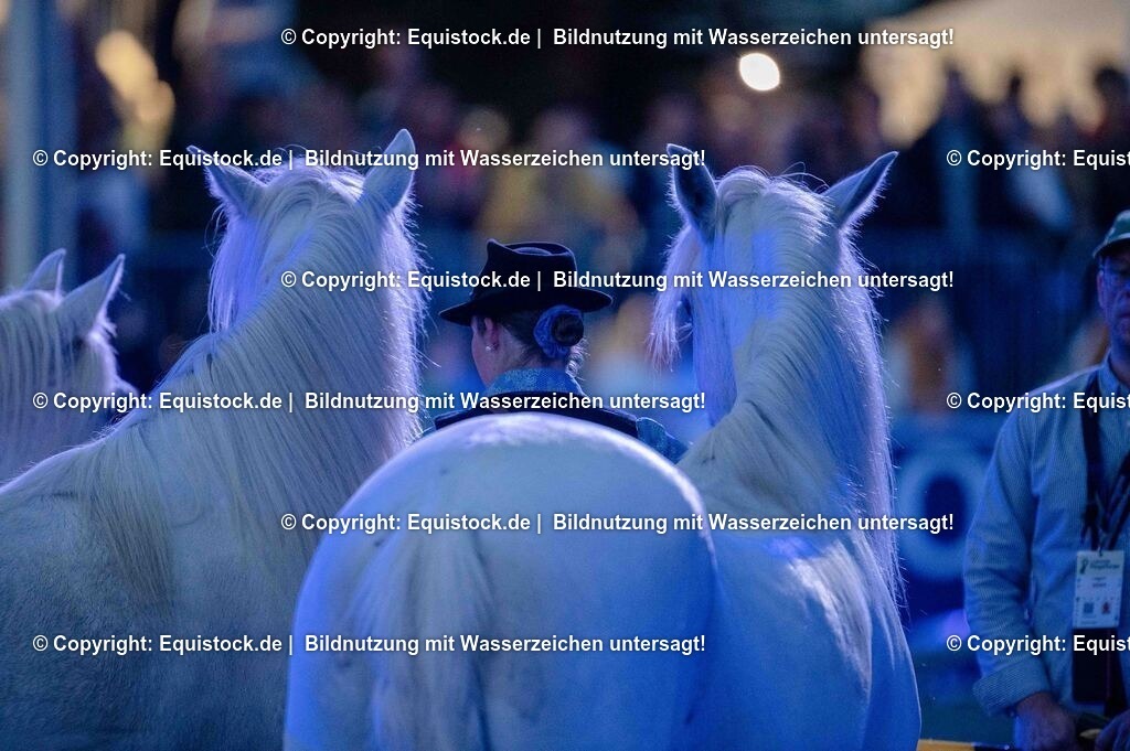 20250606_Lange-Pferdenacht_1071 | Foto: Thomas Hartig