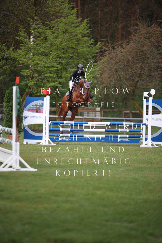 IMGT2312 | pl-fotografie