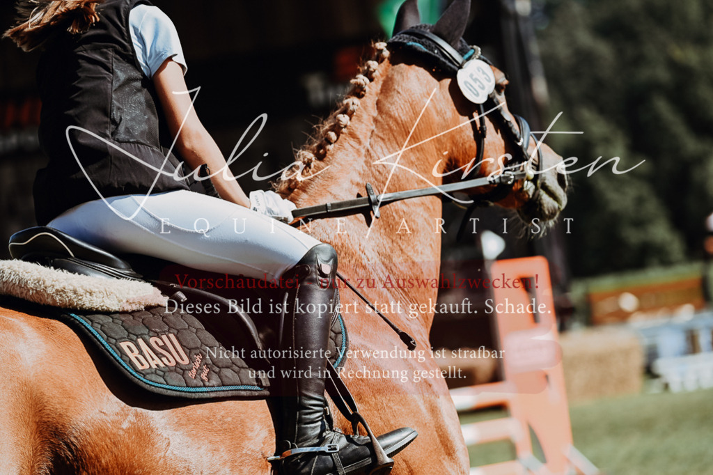 DSC_6854 | Pferde- und Turnierfotografie in Westsachsen. Pferdeportraits, Auftragszeichnungen und intuitive Kunst.