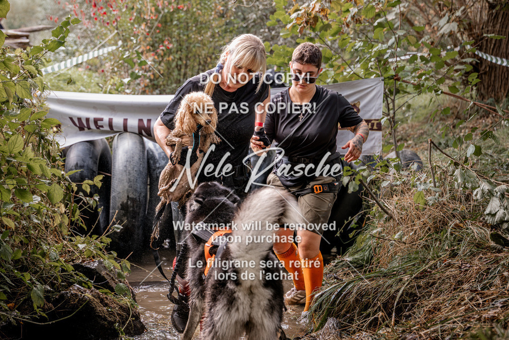 nelerasche_Hunsrück2026_Sa1400-1500_169 | nelerasche