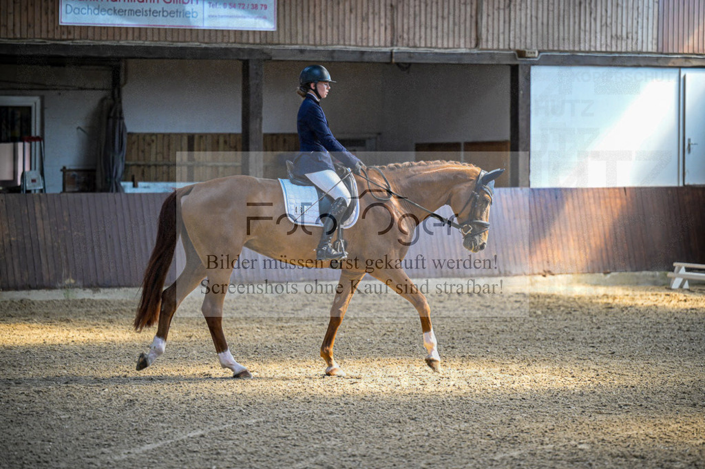 Reitturnier Voxtrup | Entdecke hochwertige Reitturnierfotos von Foto Oger. Professionell, emotional und authentisch – jetzt Lieblingsmomente im Shop bestellen.Deutschlandweite Turnierfotografie. - Realisiert mit Pictrs.com
