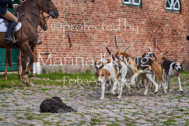 _MCH8544_Marina Hewig | Fotografie, FotoArt, PferdesportArt, Pferdesportfotografie, Landschaftsfotografie, Reisefotografie, Reise, Pferde - Realisiert mit Pictrs.com