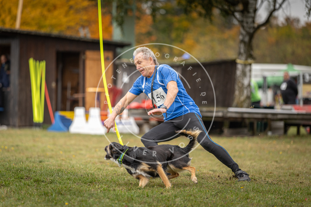 Pfotenfotografie_DV3A6256 | Hundefotografie, Tierfotograf, Pfotenfotografie, Fotoshooting Hund, Hunde Portrait, Hundesport, Hundeportraits, Heideshooting, Hunde, Sportfotograf, Hundefotograf, Turnierhundsport, THS,  - Realisiert mit Pictrs.com