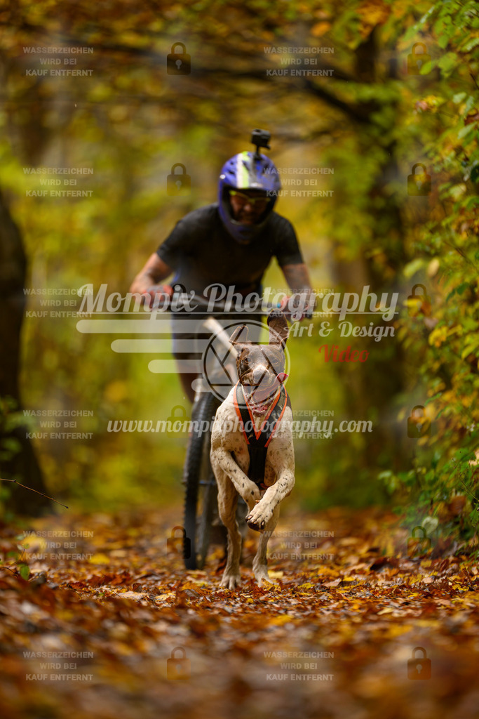 MompixPhotography_CD7S_DI_DS-5 | mompixphotography