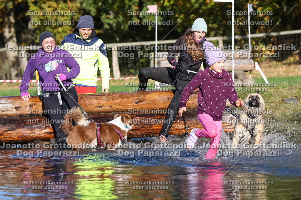 Dog Paparazzi - Strongdog 10-25-8785 | Dog Paparazzi Jeanette Grottendiek Fotografie & Videografie - Realisiert mit Pictrs.com