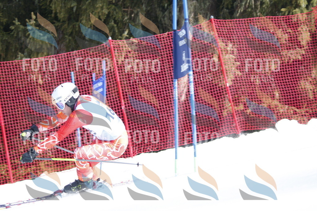 D7478 | holidayphoto