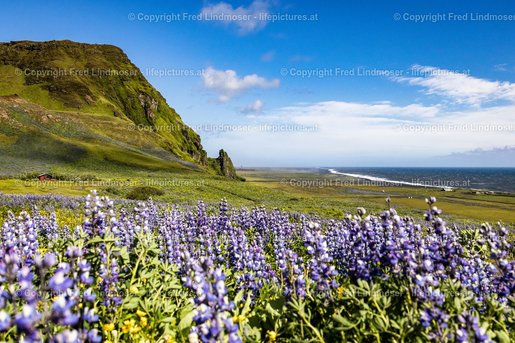 Island Juni 2022-0299 | Fotos und Fotoprodukte - Realisiert mit Pictrs.com