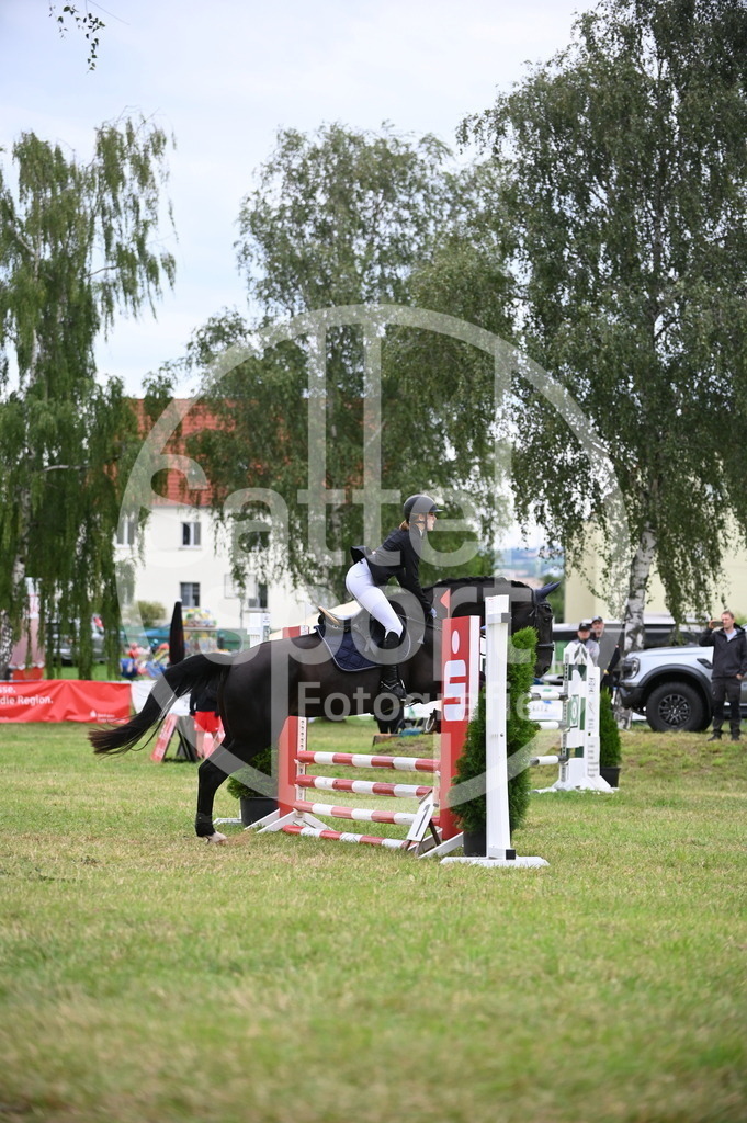 DSC_4298 | sattelsport - Realisiert mit Pictrs.com