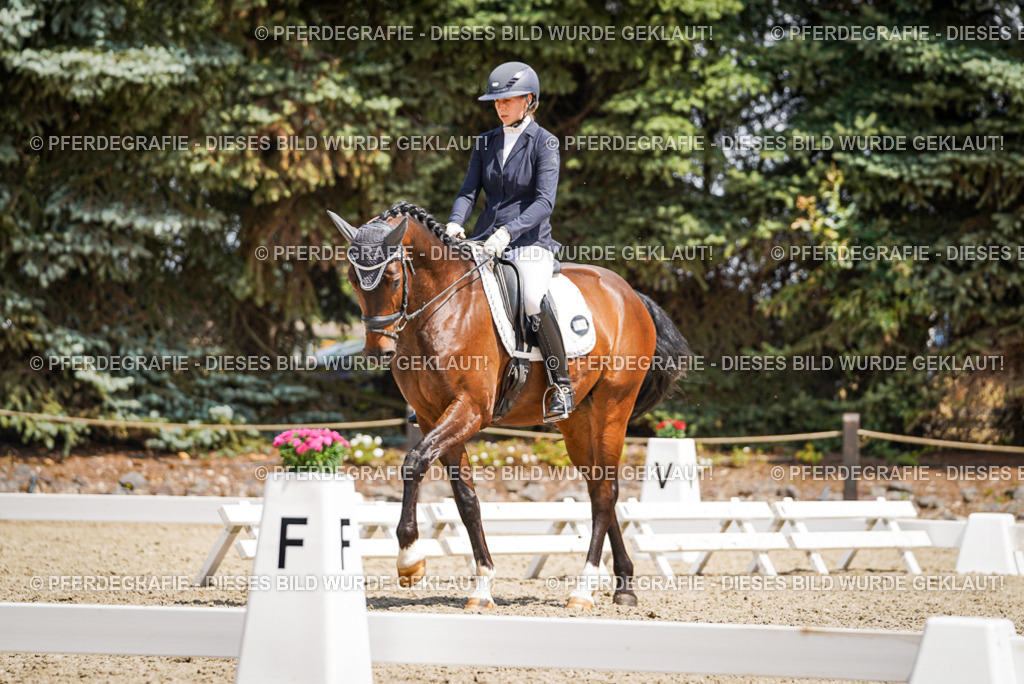 DSC01421 | Pferdegrafie