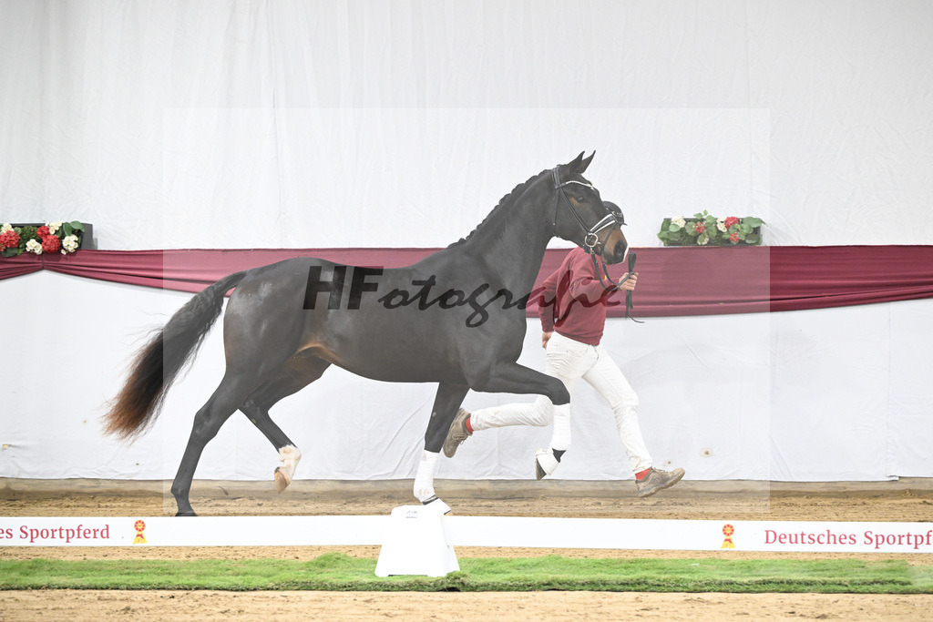 Kat-Nr. 31 In My Mind x Fidertanz_Uwe Kraft_47251045 | hf-fotografie - Realisiert mit Pictrs.com