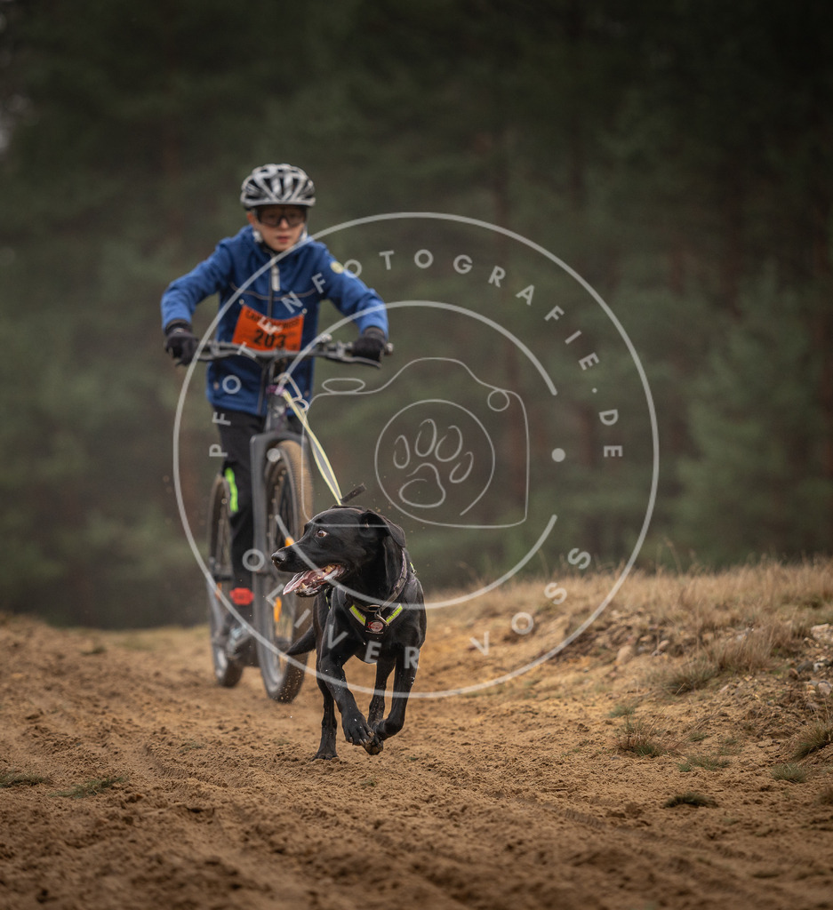 Pfotenfotografie_DV3A5042 | Hundefotografie, Tierfotograf, Pfotenfotografie, Fotoshooting Hund, Hunde Portrait, Hundesport, Hundeportraits, Heideshooting, Hunde, Sportfotograf, Hundefotograf, Turnierhundsport, THS,  - Realisiert mit Pictrs.com