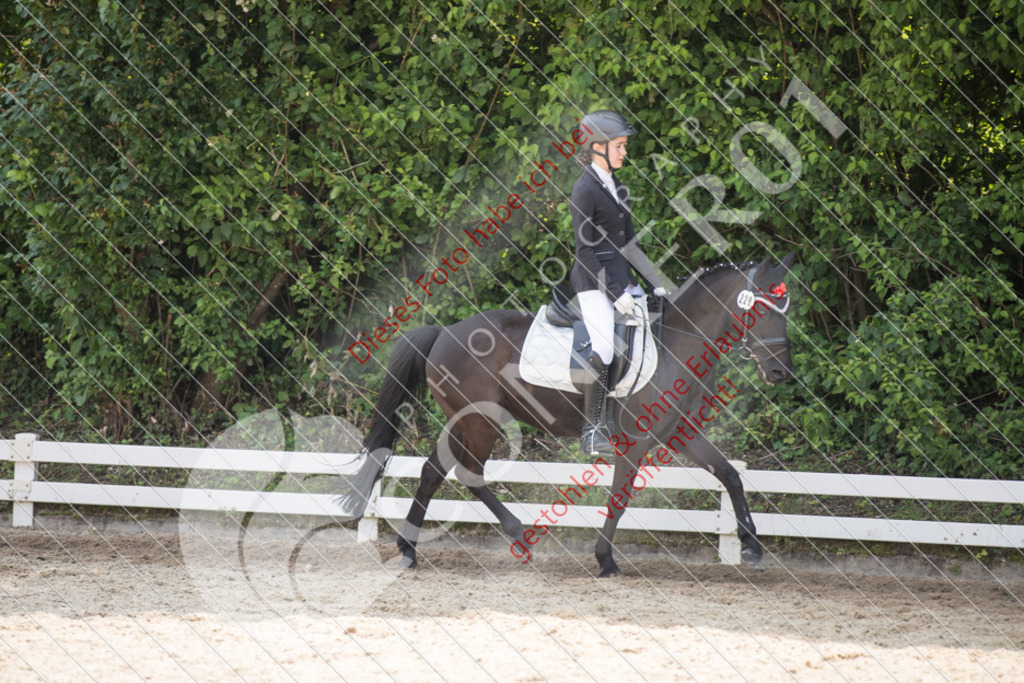 IMG_3713 | Sport-, Event- und Tierfotos in Profiqualität. Einfach auswählen, bestellen und herunterladen. Dein Moment – perfekt festgehalten.