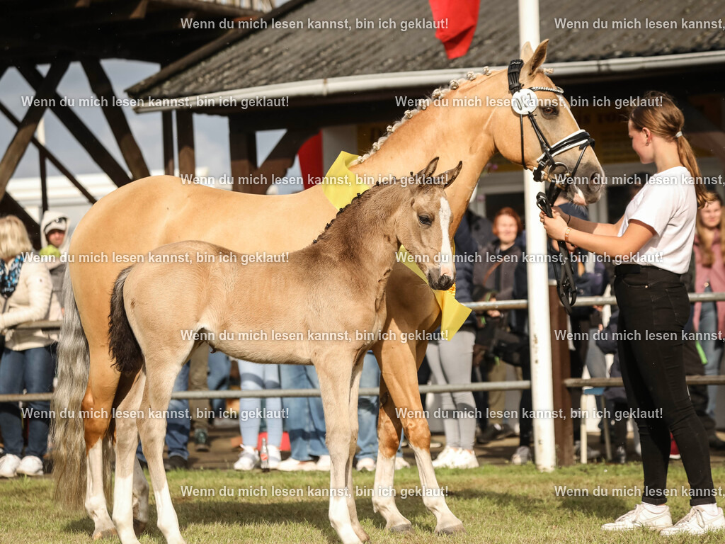 598A2495-2 | photographylinaismer - Realisiert mit Pictrs.com