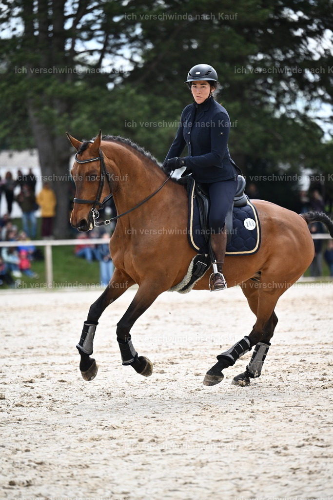 PI26_SP_Sara_Landvogt_226_5074.JPG | working equitationturnier fotograf videograf stoibphotography marixx film working equitation deutschland reitsport turnierfotografie eventfotografie equestrian events