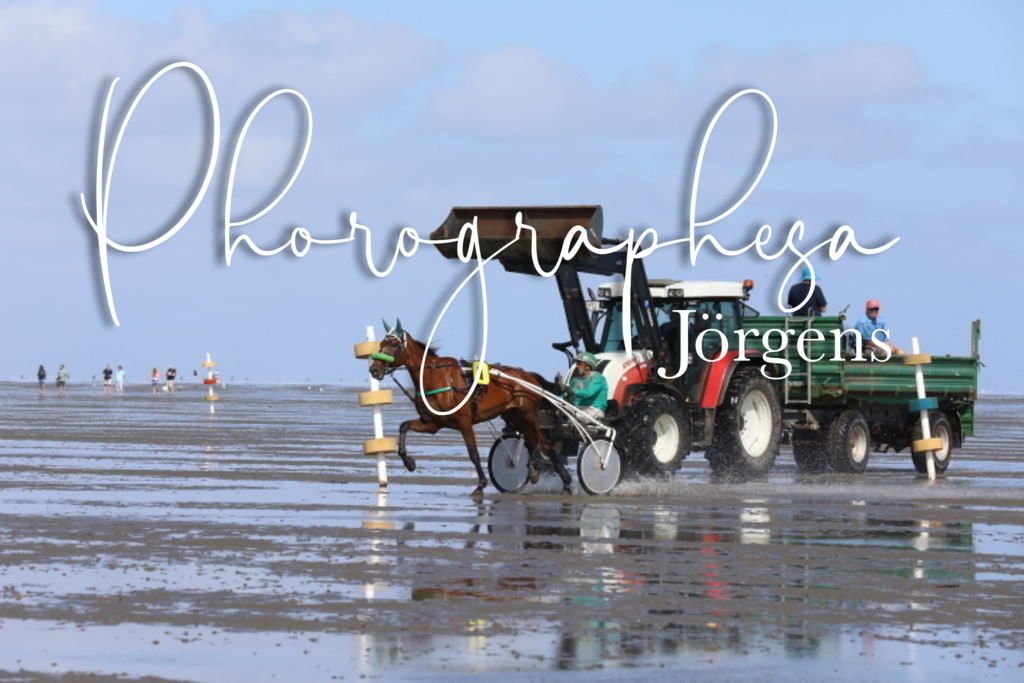 IMG_8210 | photographesa-joergens - Realisiert mit Pictrs.com