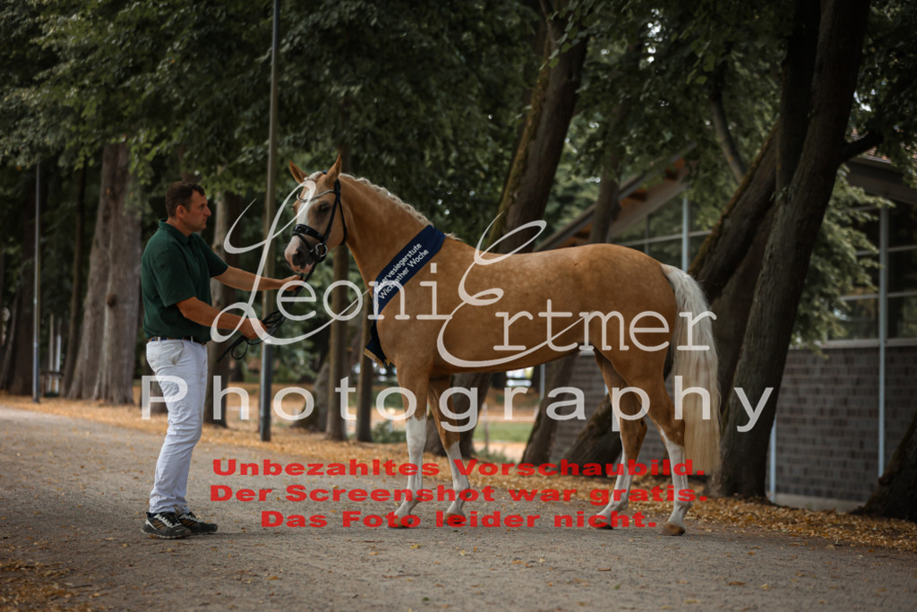 SoER00144 | Leoni Ertmer Photography - Realisiert mit Pictrs.com