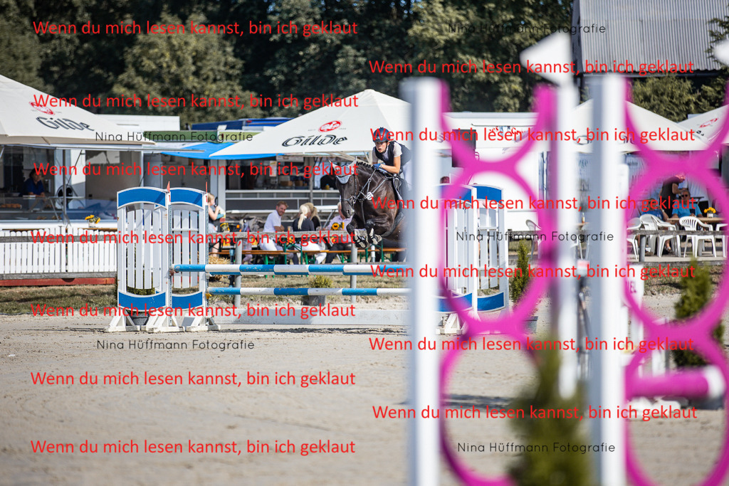 BK1A7012 | Turnierbilder Turnierfotos Nina Hüffmann Turnierfotografie Pferdefotografie Tierzeichnung Haustierzeichnung Pferdezeichnung Hundezeichnung Videograf  - Realisiert mit Pictrs.com