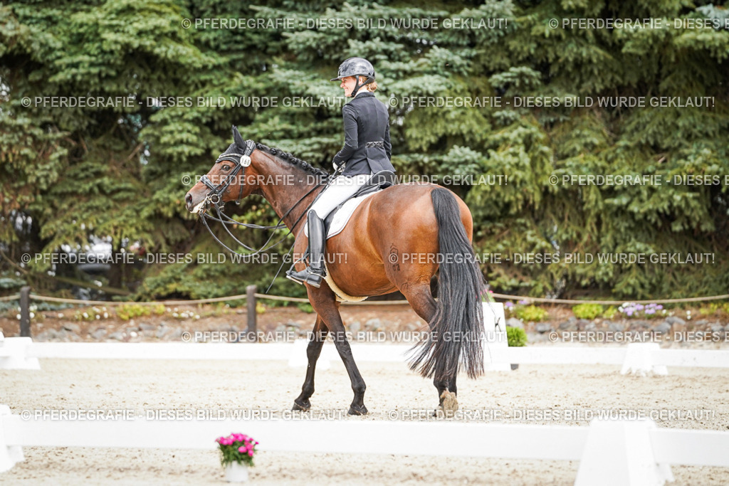 DSC04576 | Pferdegrafie