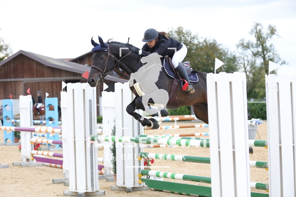 0P6A0136 | Willkommen bei Brunnmayr - Design & Fotografie – Ihrem Spezialisten für Reitturniere und Pferdeveranstaltungen in Oberösterreich, Salzburg und Bayern! Seit über 17 Jahren sind wir leidenschaftlich dabei.