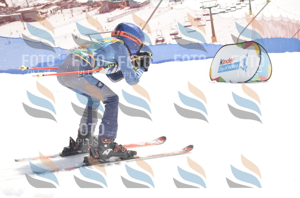 _ELE8509 | holidayphoto