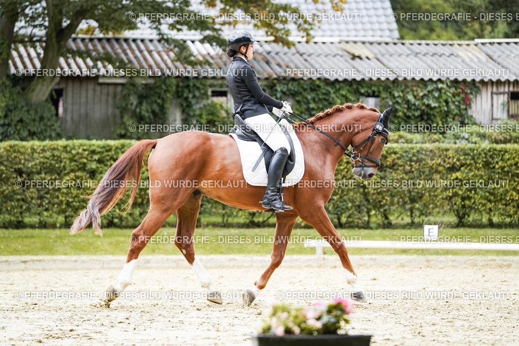 DSC08004 | Pferdegrafie