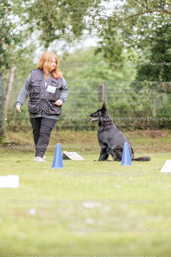 RO-Blumenthal-2026-Nickbest-Hundefotografie-3328 | Dein Hund! Dein Moment! Deine Erinnerungen! Hundefotografie in Bremen Blumenthal. Ich fange die besonderen Momente deines Vierbeiners ein – ob Indoor mit Blitzanlage oder in der freien Natur. Sicher dir dein Moment und dein Termin für eure Erinnerungen.