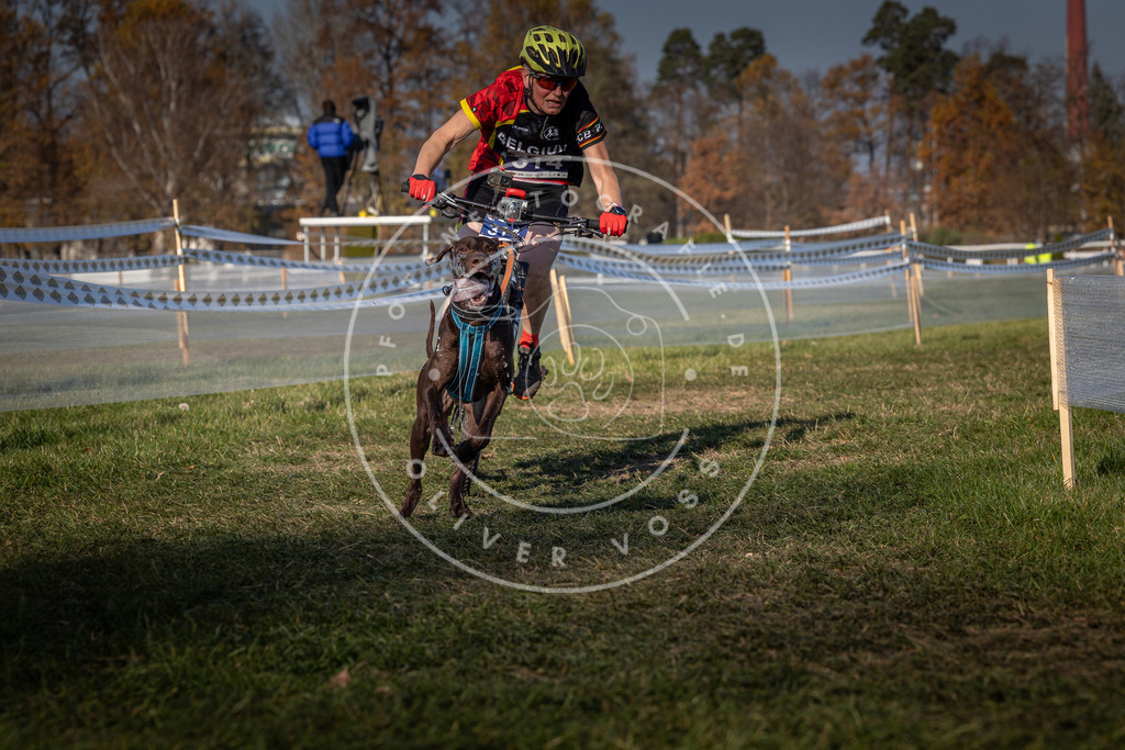 CaniXpix_0L8A6600 | Hundefotografie, Tierfotograf, Pfotenfotografie, Fotoshooting Hund, Hunde Portrait, Hundesport, Hundeportraits, Heideshooting, Hunde, Sportfotograf, Hundefotograf, Turnierhundsport, THS,  - Realisiert mit Pictrs.com