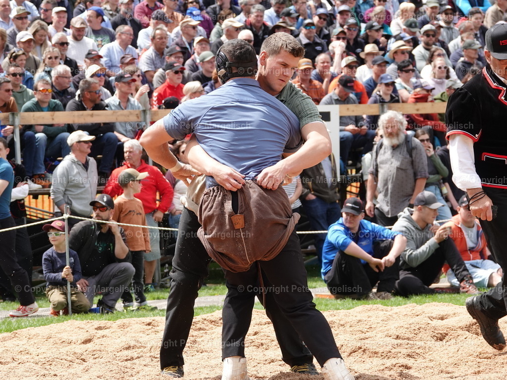 DSC07188 | Schwingen - Realisiert mit Pictrs.com