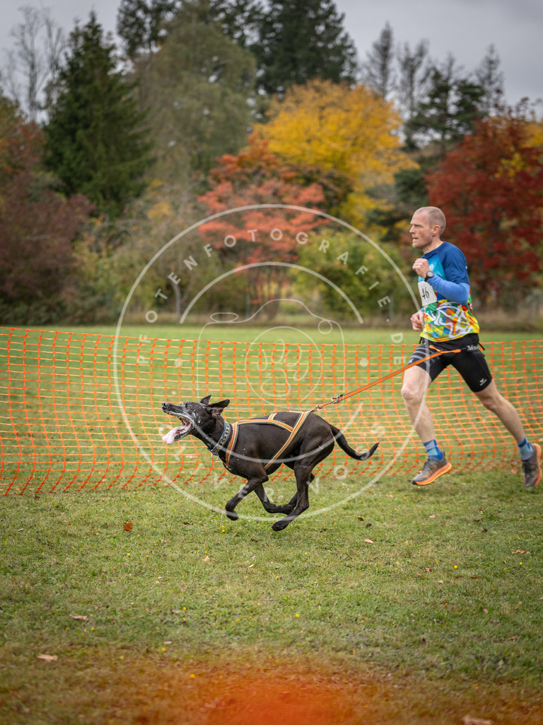 Pfotenfotografie_DV3A2410 | Hundefotografie, Tierfotograf, Pfotenfotografie, Fotoshooting Hund, Hunde Portrait, Hundesport, Hundeportraits, Heideshooting, Hunde, Sportfotograf, Hundefotograf, Turnierhundsport, THS,  - Realisiert mit Pictrs.com