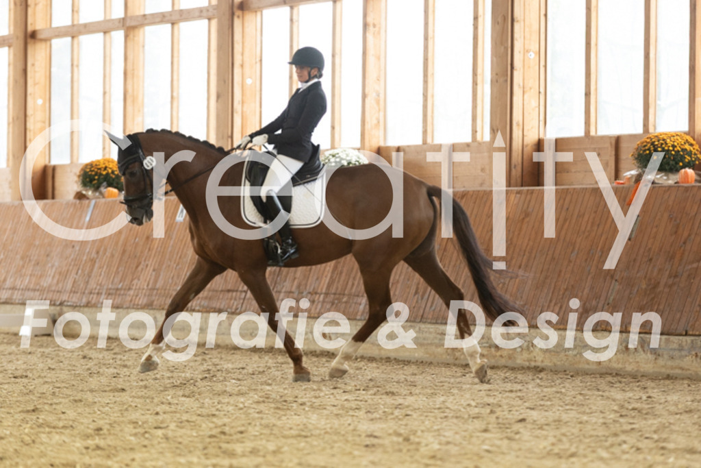IMG_2753 | Creatify Fotografie