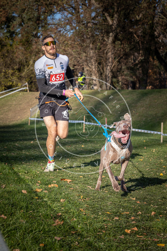 CaniXpix_0L8A9115 | Hundefotografie, Tierfotograf, Pfotenfotografie, Fotoshooting Hund, Hunde Portrait, Hundesport, Hundeportraits, Heideshooting, Hunde, Sportfotograf, Hundefotograf, Turnierhundsport, THS,  - Realisiert mit Pictrs.com