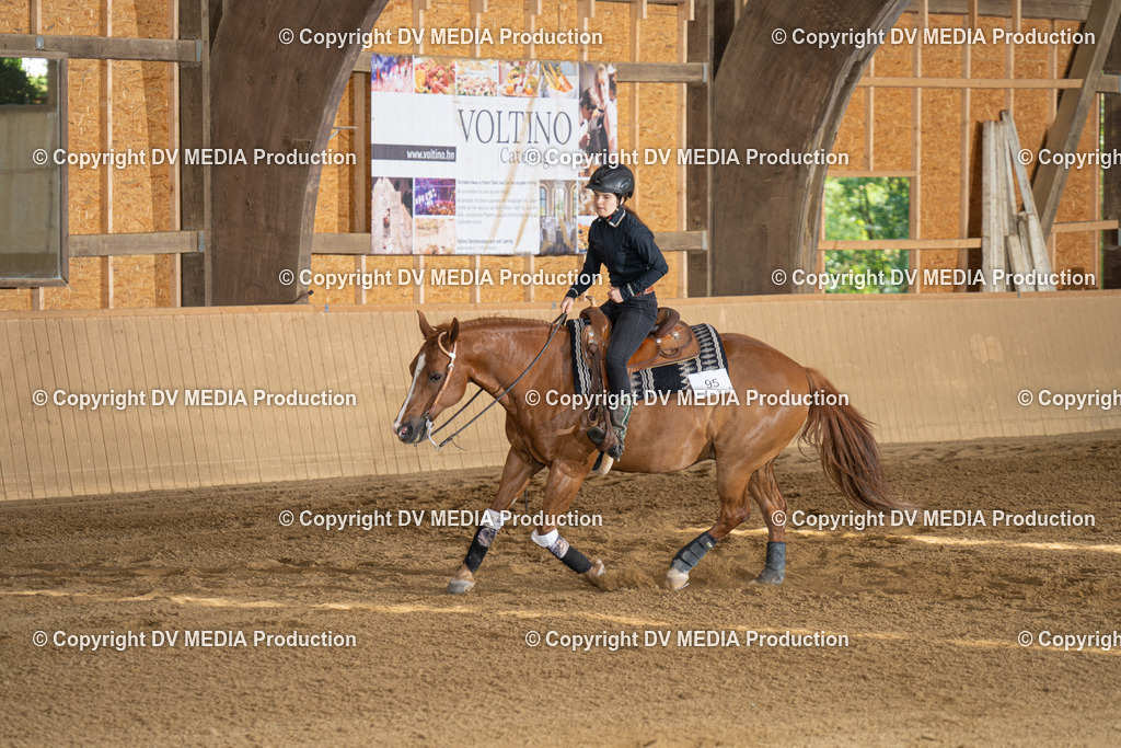 DSC00040 | dv-media-shop - Realisiert mit Pictrs.com