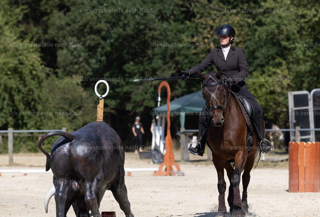 WE_Trail_126_KerstinBernhardt-3 | working equitationturnier fotograf videograf stoibphotography marixx film working equitation deutschland reitsport turnierfotografie eventfotografie equestrian events