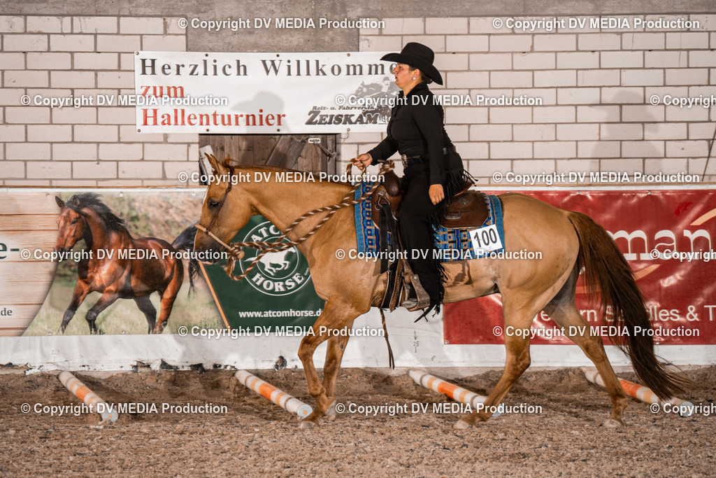 ZH200820 | dv-media-shop - Realisiert mit Pictrs.com