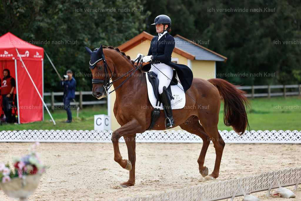 11-141-Dressur S___-StoibPH-882 | working equitationturnier fotograf videograf stoibphotography marixx film working equitation deutschland reitsport turnierfotografie eventfotografie equestrian events