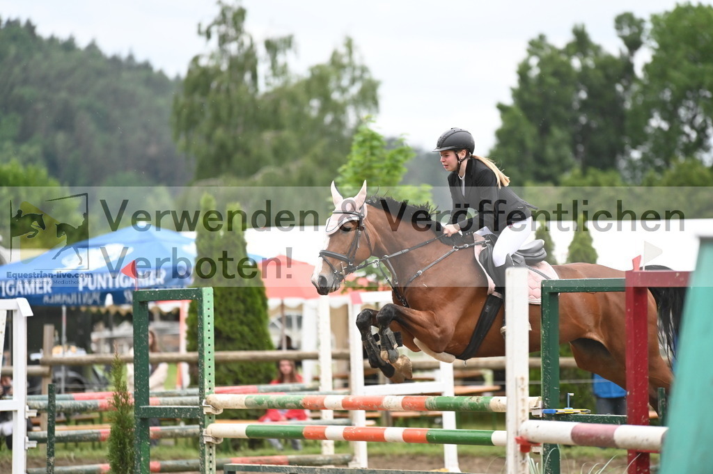 DSC_1729 | equestrian-live-com