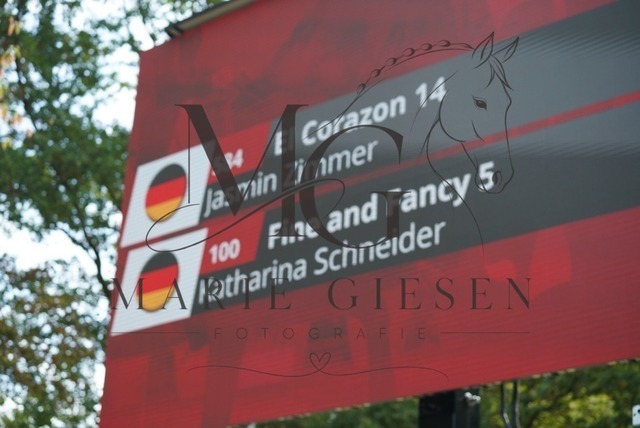 VAN01334 | Pferdefotografie in Köln und Umgebung – emotionale Pferdeshootings, Turnierfotografie und besondere Momente zwischen Pferd und Mensch. - Realisiert mit Pictrs.com